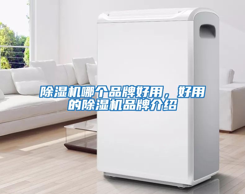 除濕機哪個品牌好用，好用的除濕機品牌介紹