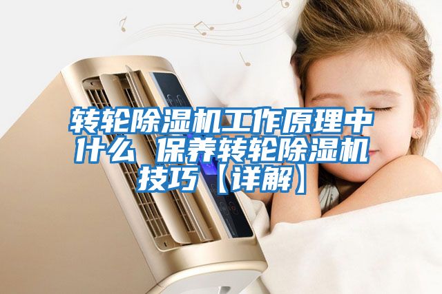轉輪除濕機工作原理中什么 保養轉輪除濕機技巧【詳解】