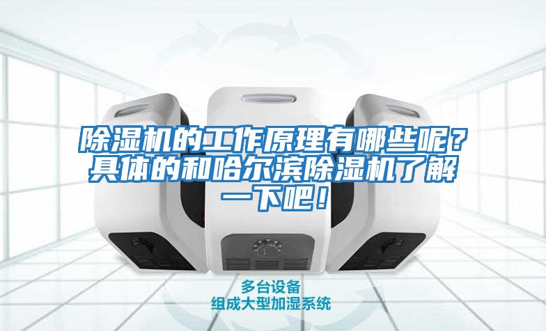 除濕機(jī)的工作原理有哪些呢？具體的和哈爾濱除濕機(jī)了解一下吧！