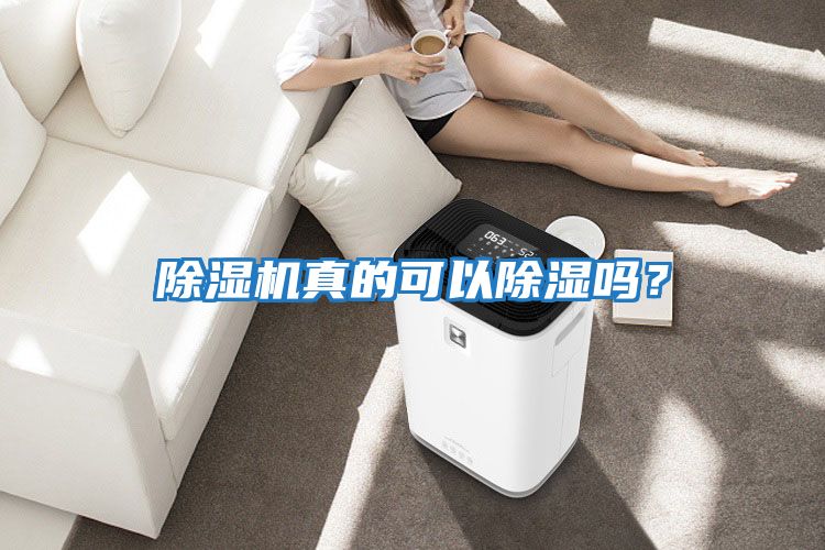除濕機真的可以除濕嗎？