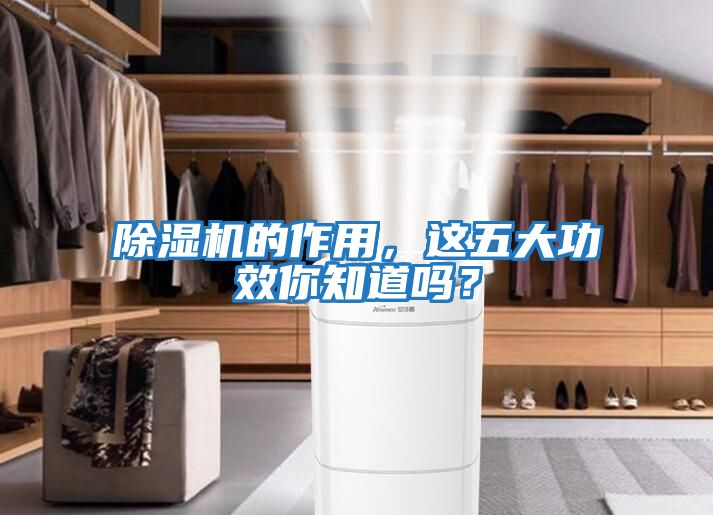 除濕機(jī)的作用，這五大功效你知道嗎？