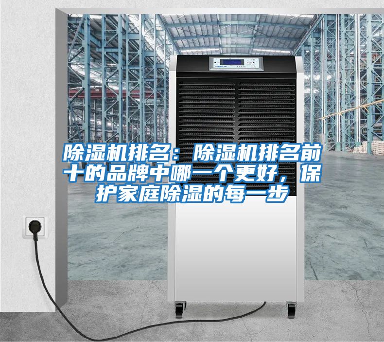 除濕機(jī)排名：除濕機(jī)排名前十的品牌中哪一個(gè)更好，保護(hù)家庭除濕的每一步