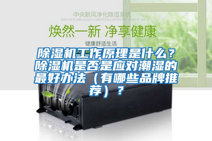 除濕機(jī)工作原理是什么？除濕機(jī)是否是應(yīng)對(duì)潮濕的最好辦法（有哪些品牌推薦）？