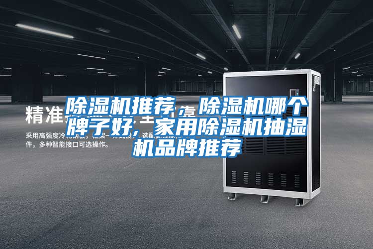 除濕機(jī)推薦，除濕機(jī)哪個(gè)牌子好, 家用除濕機(jī)抽濕機(jī)品牌推薦