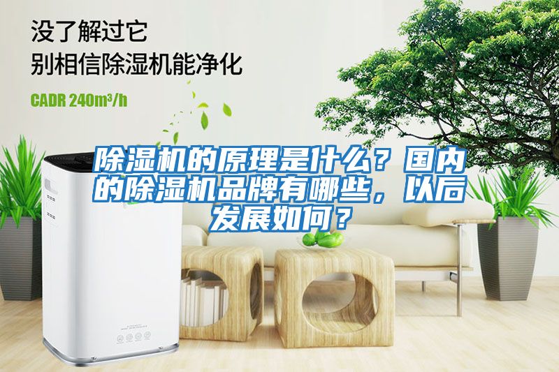 除濕機(jī)的原理是什么？國(guó)內(nèi)的除濕機(jī)品牌有哪些，以后發(fā)展如何？