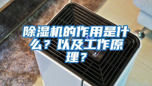除濕機的作用是什么？以及工作原理？