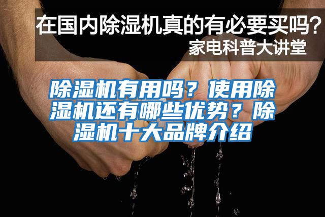 除濕機有用嗎？使用除濕機還有哪些優勢？除濕機十大品牌介紹