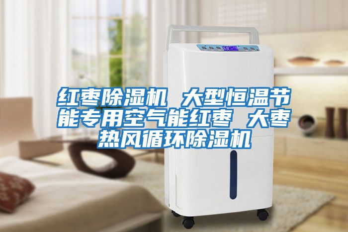 紅棗除濕機 大型恒溫節能專用空氣能紅棗 大棗熱風循環除濕機