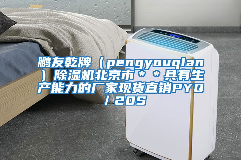 鵬友乾牌（pengyouqian）除濕機北京市＊＊具有生產能力的廠家現貨直銷PYQ／20S