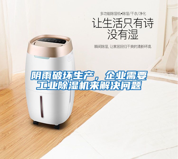 陰雨破壞生產，企業需要工業除濕機來解決問題
