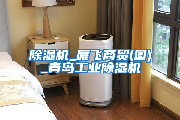 除濕機_雁飛商貿(圖)_青島工業除濕機