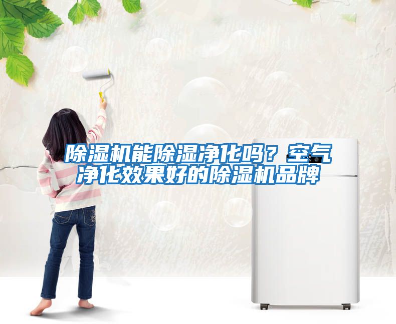 除濕機能除濕凈化嗎？空氣凈化效果好的除濕機品牌
