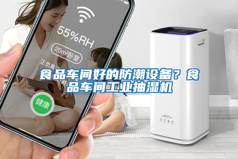 食品車間好的防潮設(shè)備？食品車間工業(yè)抽濕機(jī)