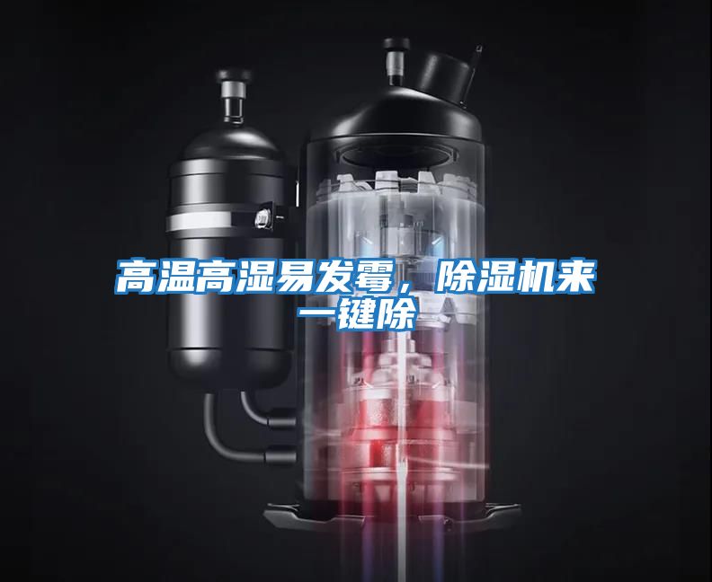 高溫高濕易發霉，除濕機來一鍵除