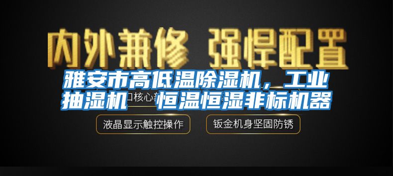 雅安市高低溫除濕機，工業抽濕機  恒溫恒濕非標機器