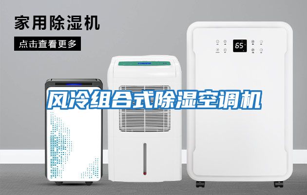 風冷組合式除濕空調機