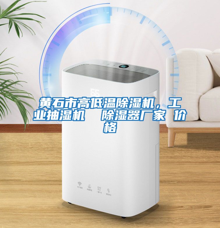 黃石市高低溫除濕機(jī)，工業(yè)抽濕機(jī)  除濕器廠家 價(jià)格