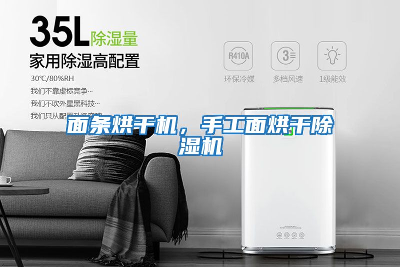 面條烘干機，手工面烘干除濕機