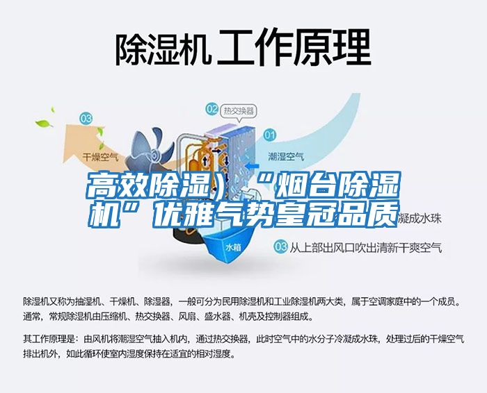 高效除濕）“煙臺除濕機”優雅氣勢皇冠品質