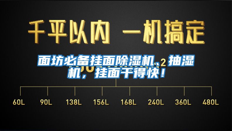 面坊必備掛面除濕機、抽濕機，掛面干得快！