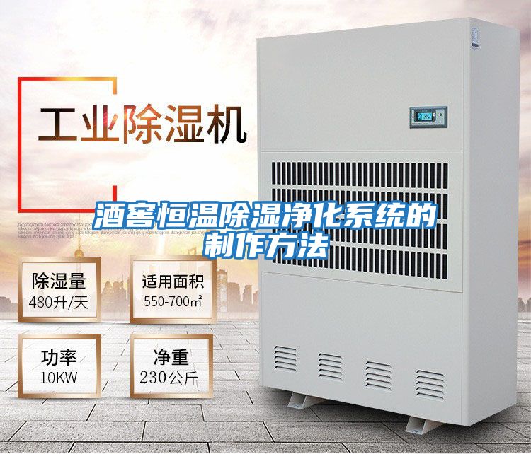 酒窖恒溫除濕凈化系統的制作方法