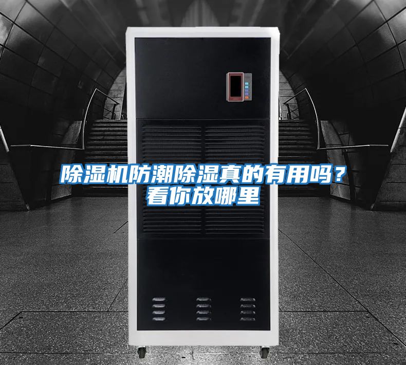 除濕機(jī)防潮除濕真的有用嗎？看你放哪里
