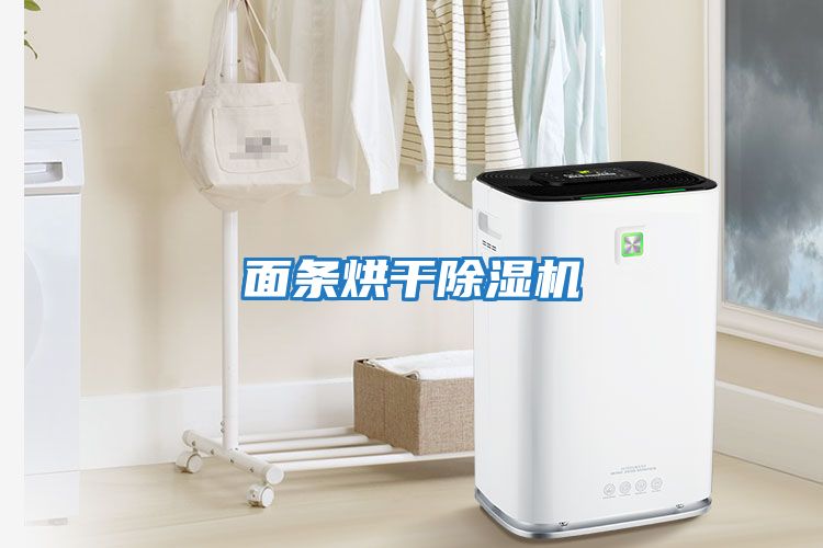 面條烘干除濕機