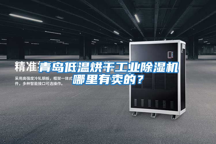 青島低溫烘干工業除濕機哪里有賣的？