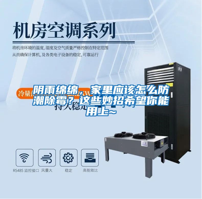 陰雨綿綿，家里應該怎么防潮除霉？這些妙招希望你能用上~