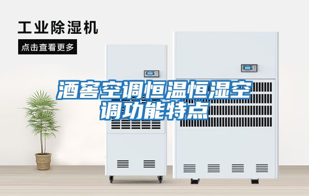 酒窖空調恒溫恒濕空調功能特點