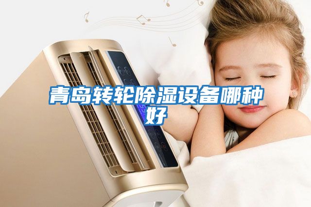 青島轉輪除濕設備哪種好