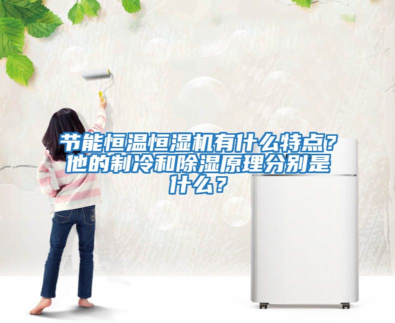 節能恒溫恒濕機有什么特點？他的制冷和除濕原理分別是什么？