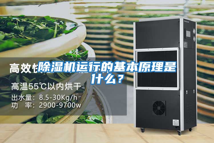 除濕機(jī)運(yùn)行的基本原理是什么？