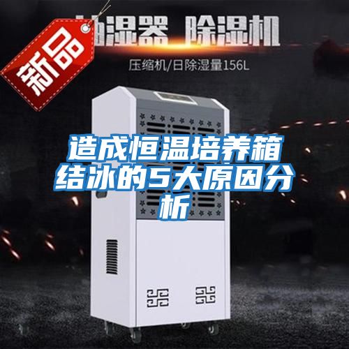 造成恒溫培養箱結冰的5大原因分析
