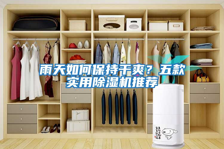 雨天如何保持干爽？五款實用除濕機推薦