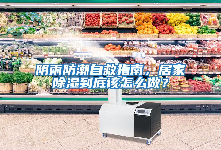 陰雨防潮自救指南，居家除濕到底該怎么做？