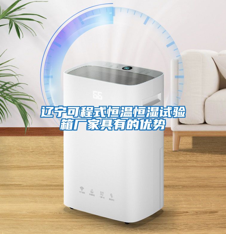 遼寧可程式恒溫恒濕試驗箱廠家具有的優勢