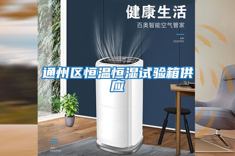 通州區恒溫恒濕試驗箱供應