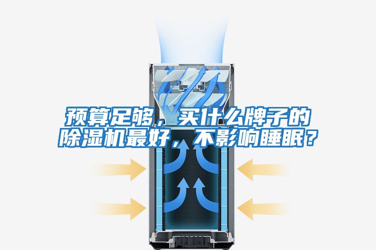 預算足夠，買什么牌子的除濕機最好，不影響睡眠？