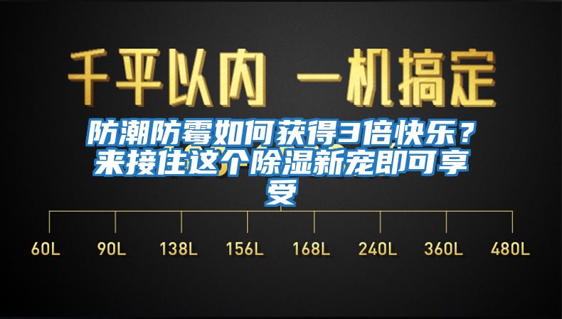 防潮防霉如何獲得3倍快樂？來接住這個除濕新寵即可享受